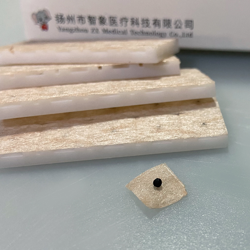 穴位壓力刺激貼-王不留圖片/穴位壓力刺激貼-王不留樣板圖 (3)