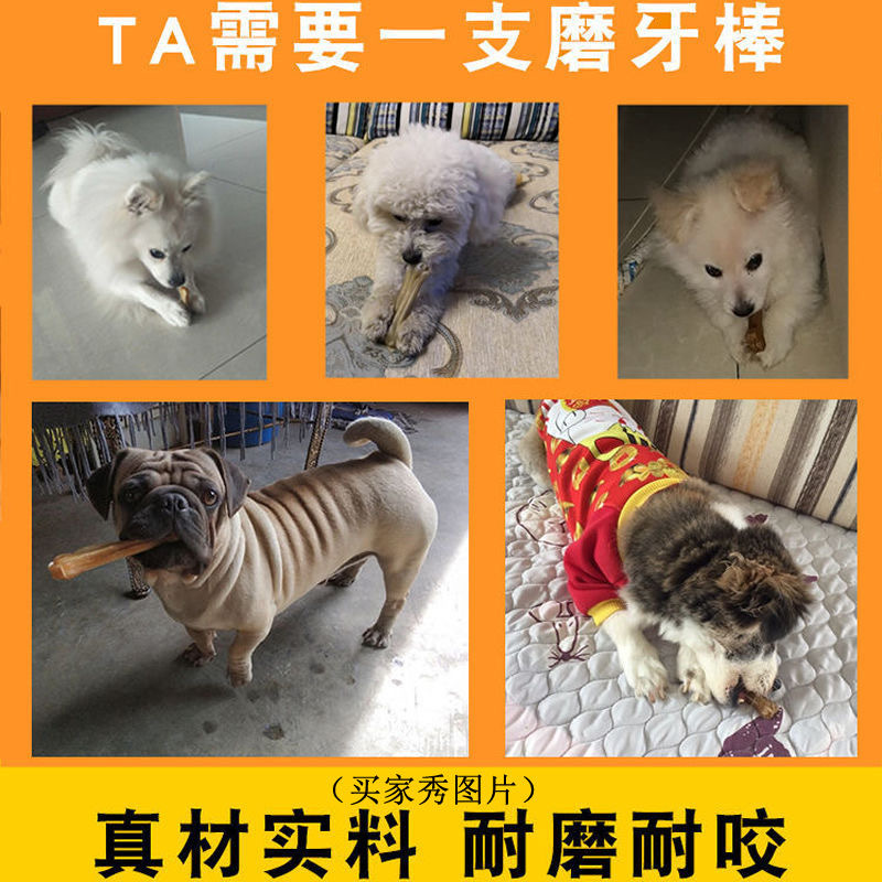 阿拉斯犬犬粮供应 阿拉斯犬犬粮供应 阿拉斯加狗粮 阿拉斯大型犬喜欢吃哪种狗粮划算图片