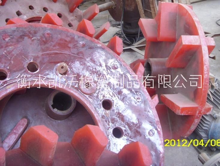 聚氨酯葉輪蓋板圖片/聚氨酯葉輪蓋板樣板圖 (3)