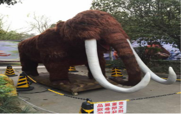 仿真動物圖片/仿真動物樣板圖 (4)