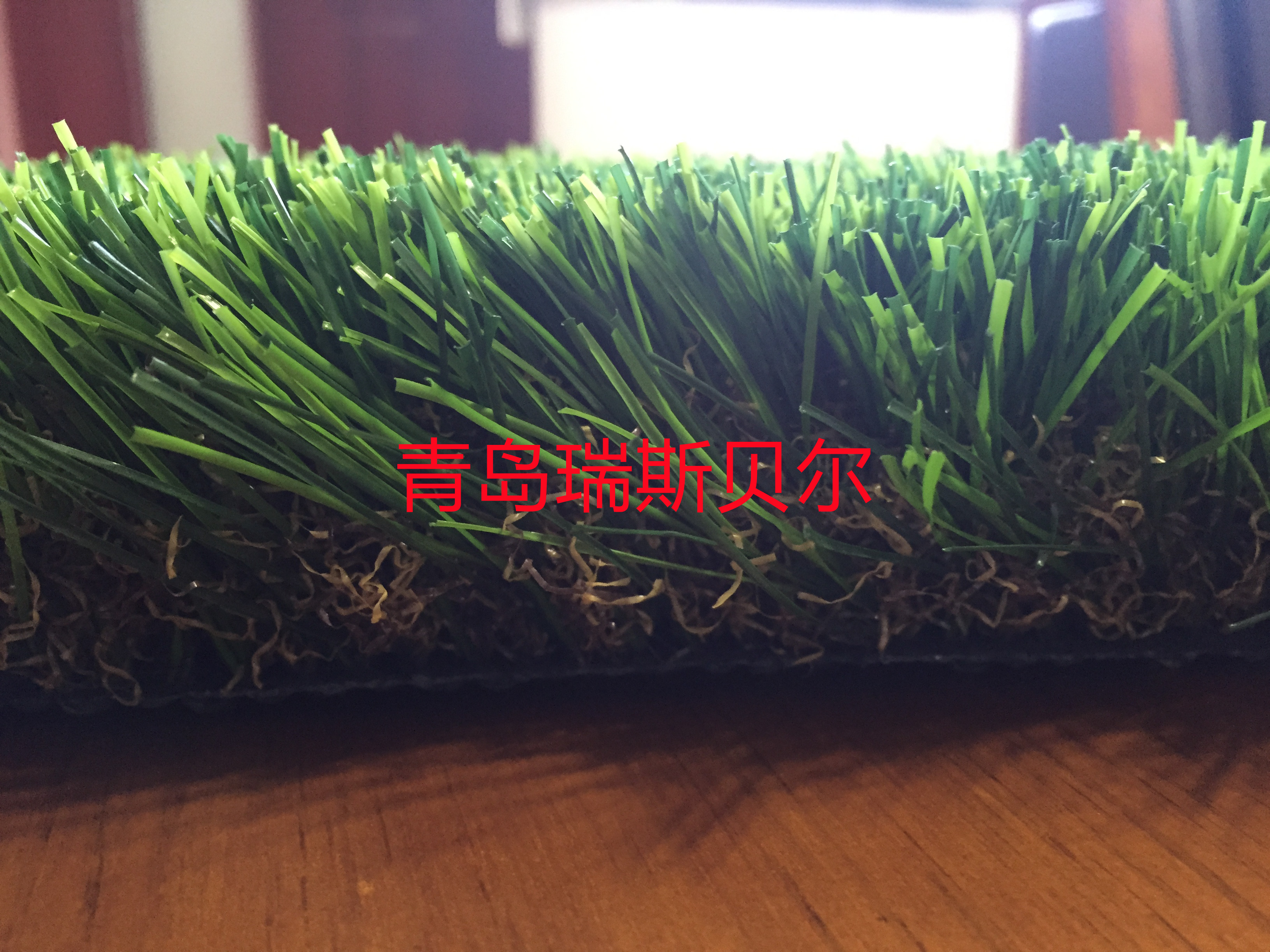人造草坪圖片/人造草坪樣板圖 (4)