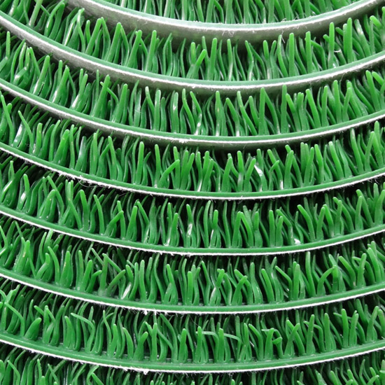 粘金草圖片/粘金草樣板圖 (4)