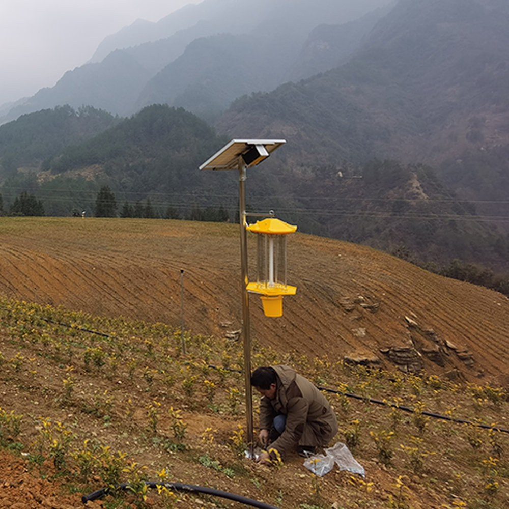 智慧農(nóng)業(yè)有害生物測報預(yù)警系統(tǒng)圖片/智慧農(nóng)業(yè)有害生物測報預(yù)警系統(tǒng)樣板圖 (4)