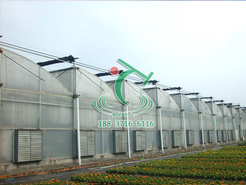 鋸齒式連棟薄膜大棚溫室哪家好  鋸齒式連棟薄膜大棚溫室價格