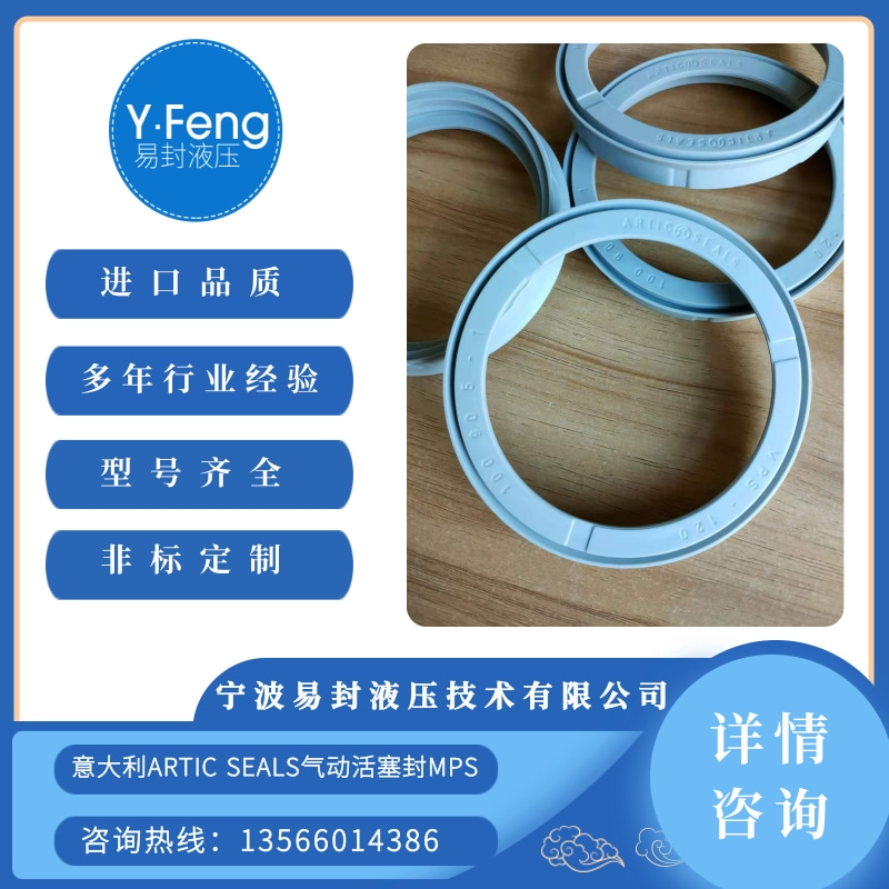 活塞封圖片/活塞封樣板圖 (2)