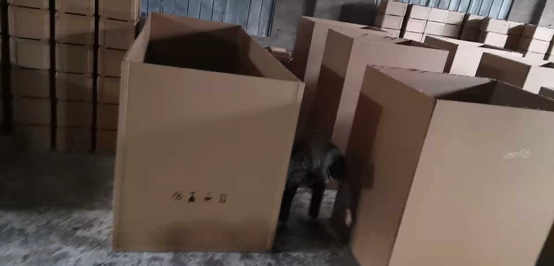 瓦楞紙箱圖片/瓦楞紙箱樣板圖 (2)