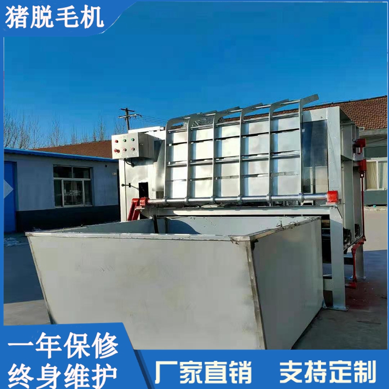 豬除毛機圖片/豬除毛機樣板圖 (1)