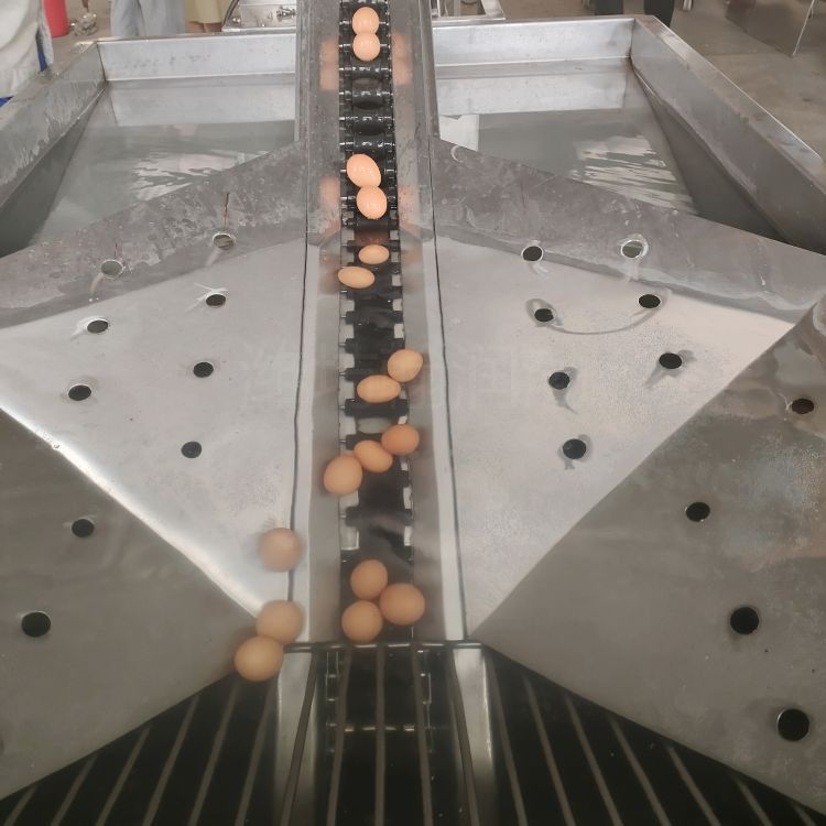 洗蛋機(jī)圖片