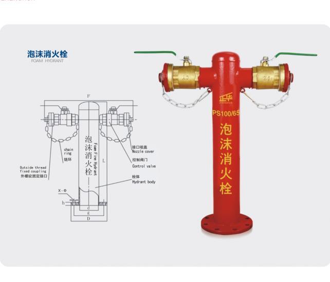 泡沫式消火栓 地上地下消防栓 泡沫消火栓