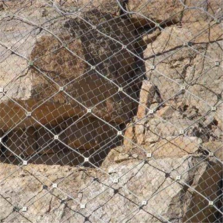 防護網(wǎng)圖片/防護網(wǎng)樣板圖 (4)