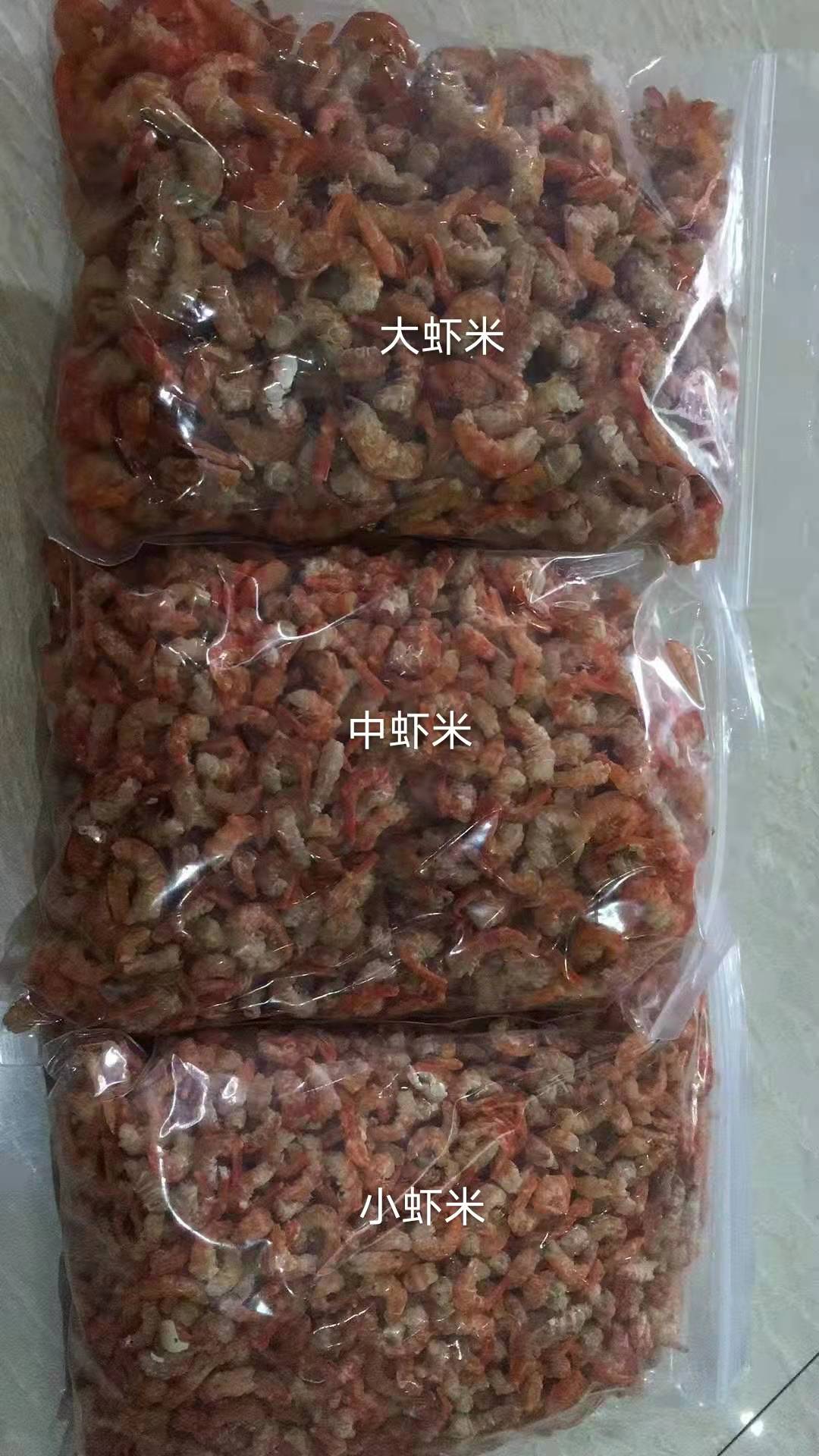 海虾米图片