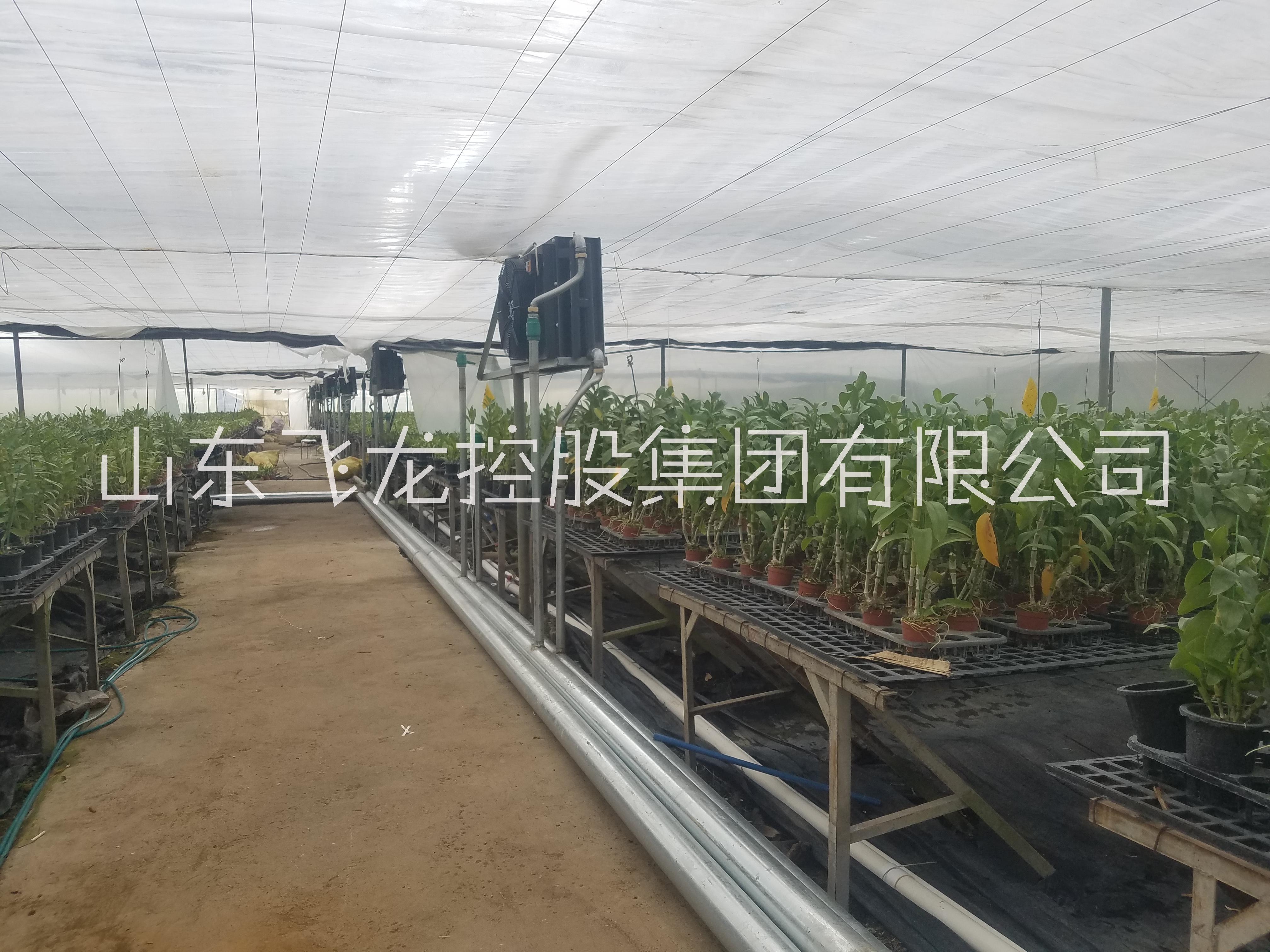 飛龍暖風(fēng)機圖片/飛龍暖風(fēng)機樣板圖 (4)