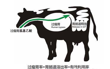 胍基乙酸圖片/胍基乙酸樣板圖 (3)