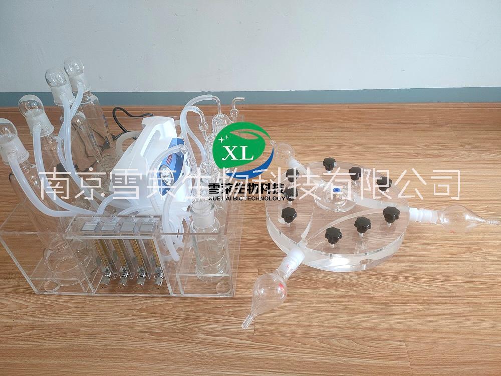 Y型嗅覺(jué)儀XLM3-300 廠家圖片/Y型嗅覺(jué)儀XLM3-300 廠家樣板圖 (2)