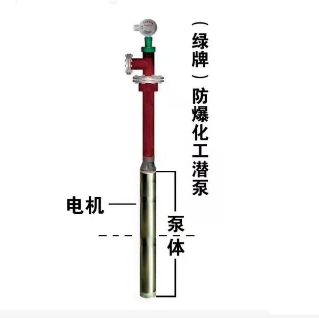 绿牌变频化工液下泵YQYB不锈钢潜液泵