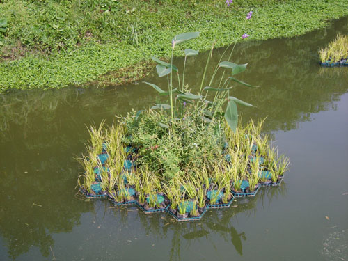 北京水上浮床制作 北京水上浮床廠家