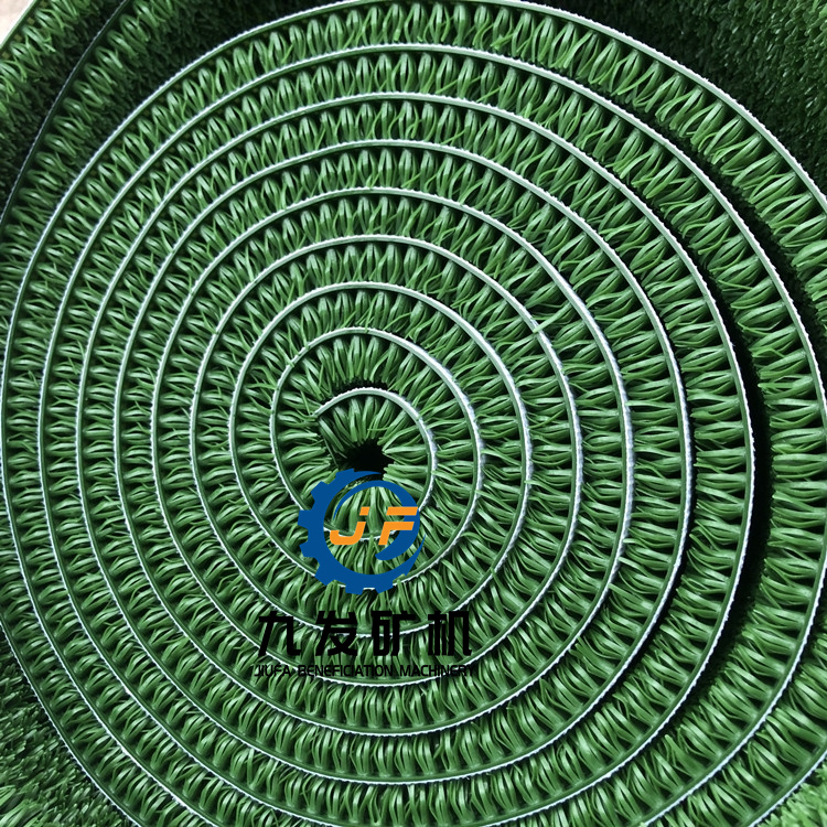 粘金草圖片/粘金草樣板圖 (3)
