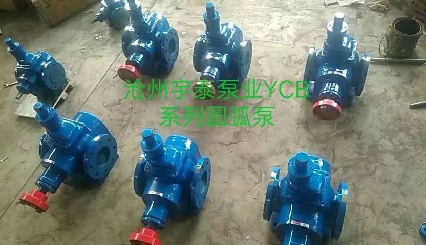 YCB-50圓弧泵不銹鋼圓弧泵