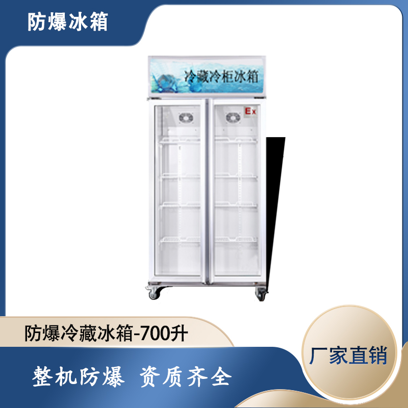 雙門防爆冷藏冰箱，醫(yī)用防爆冰箱