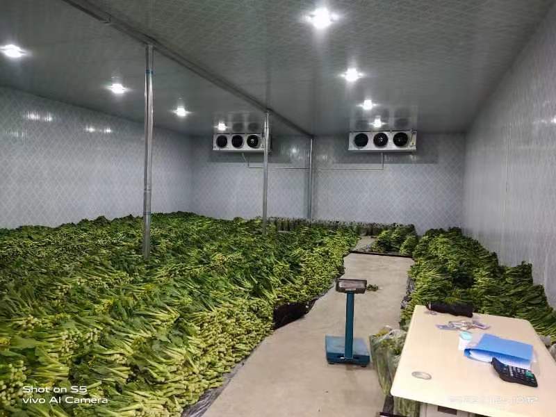 冷庫(kù)工程建造圖片/冷庫(kù)工程建造樣板圖 (1)