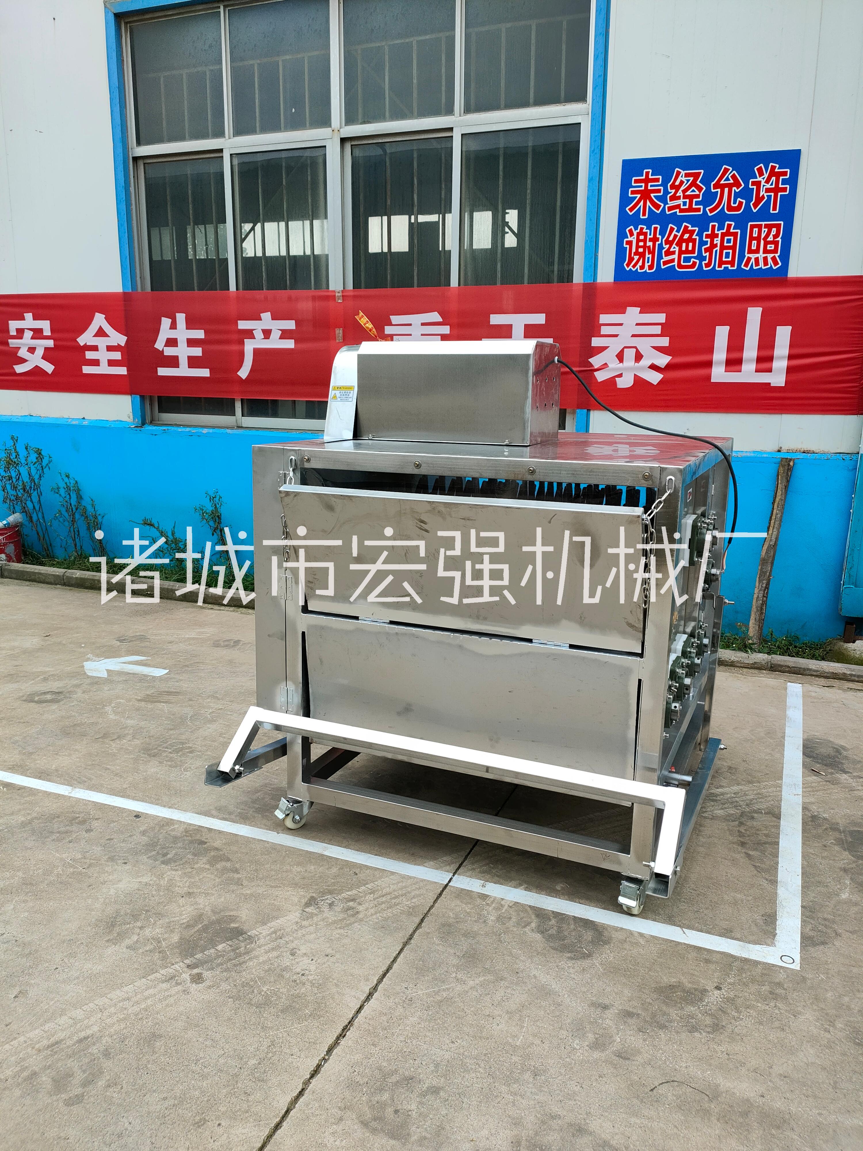 中小型鵝打毛機(jī)