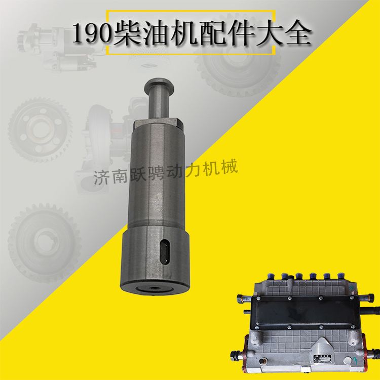 濟(jì)南12v190高壓油泵柱塞Z12V.12.30