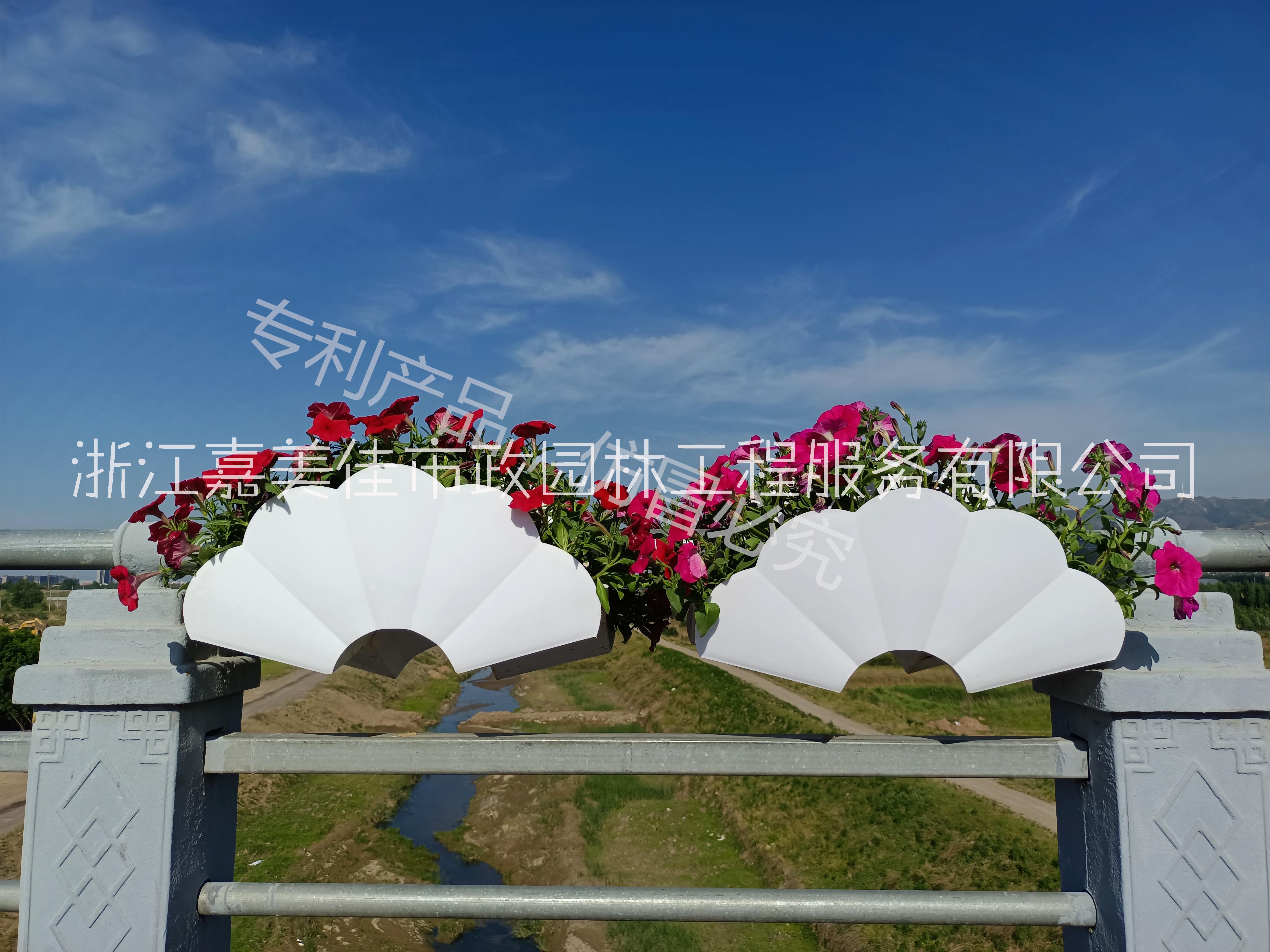 馬鞍花盆圖片/馬鞍花盆樣板圖 (2)