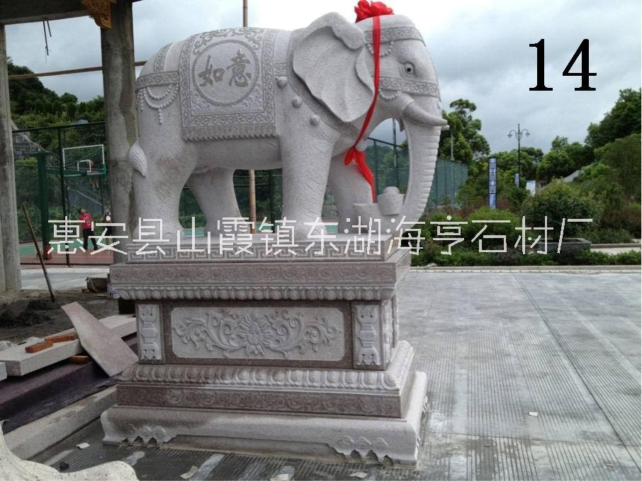 大象圖片/大象樣板圖 (2)
