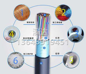 HYAT53電纜圖片/HYAT53電纜樣板圖 (1)