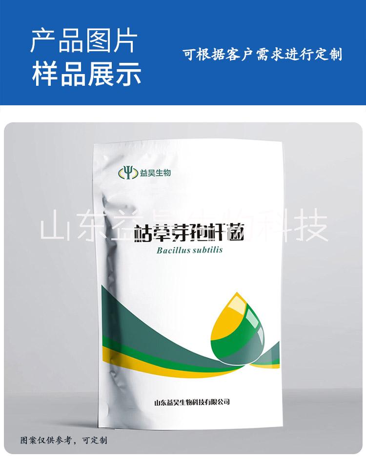 枯草芽孢桿菌圖片/枯草芽孢桿菌樣板圖 (3)