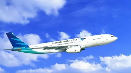 雅加達(dá)空運(yùn)圖片/雅加達(dá)空運(yùn)樣板圖 (1)