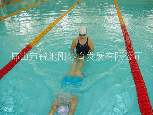 精英班圖片/精英班樣板圖 (1)
