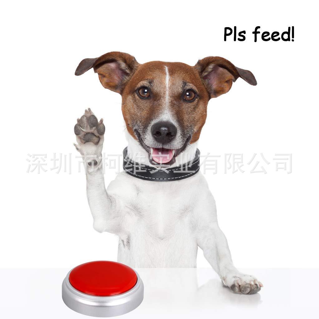 發(fā)聲模塊圖片/發(fā)聲模塊樣板圖 (2)