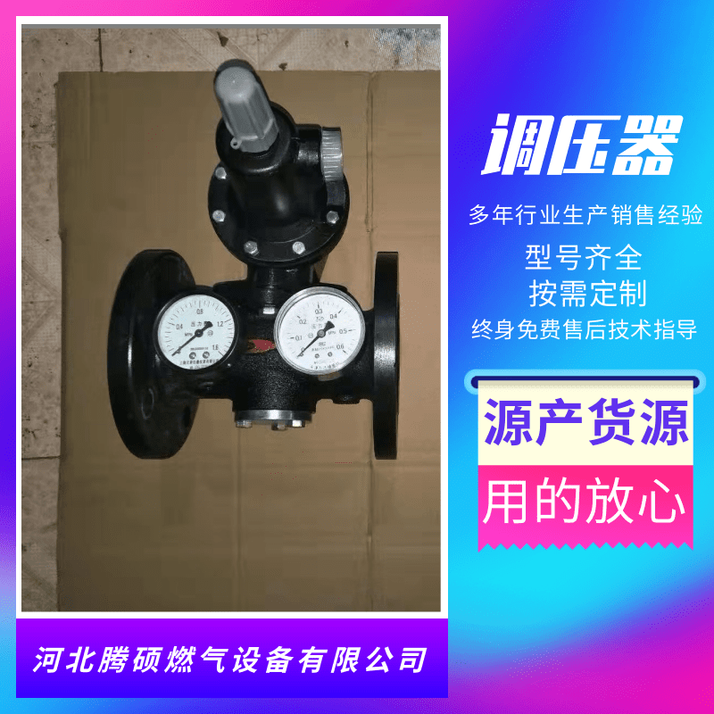 G型调压器批发，D型调压器供应商，H型调压器价钱图片