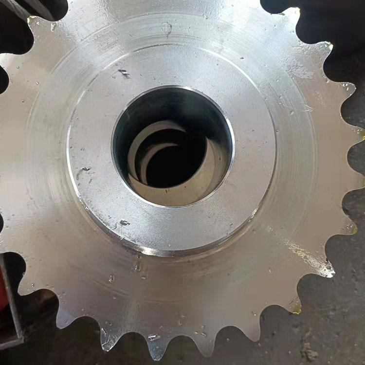 大節(jié)距鏈圖片/大節(jié)距鏈樣板圖 (2)