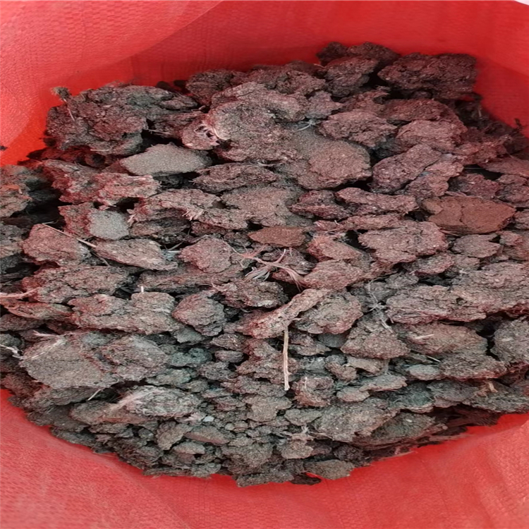 曬干雞糞圖片/曬干雞糞樣板圖 (1)