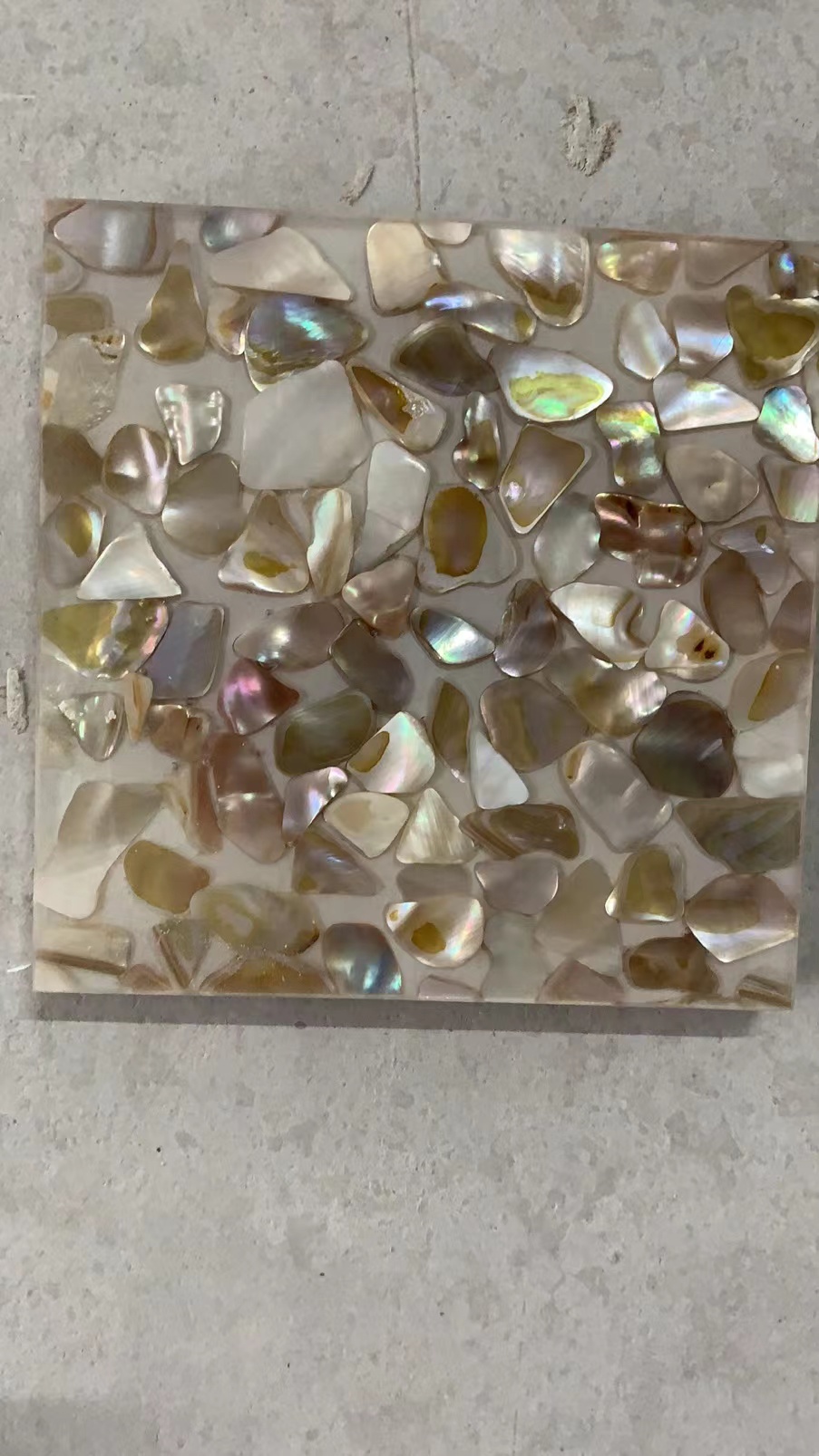 珍珠母貝自然色供貨商   珍珠母貝自然色價格