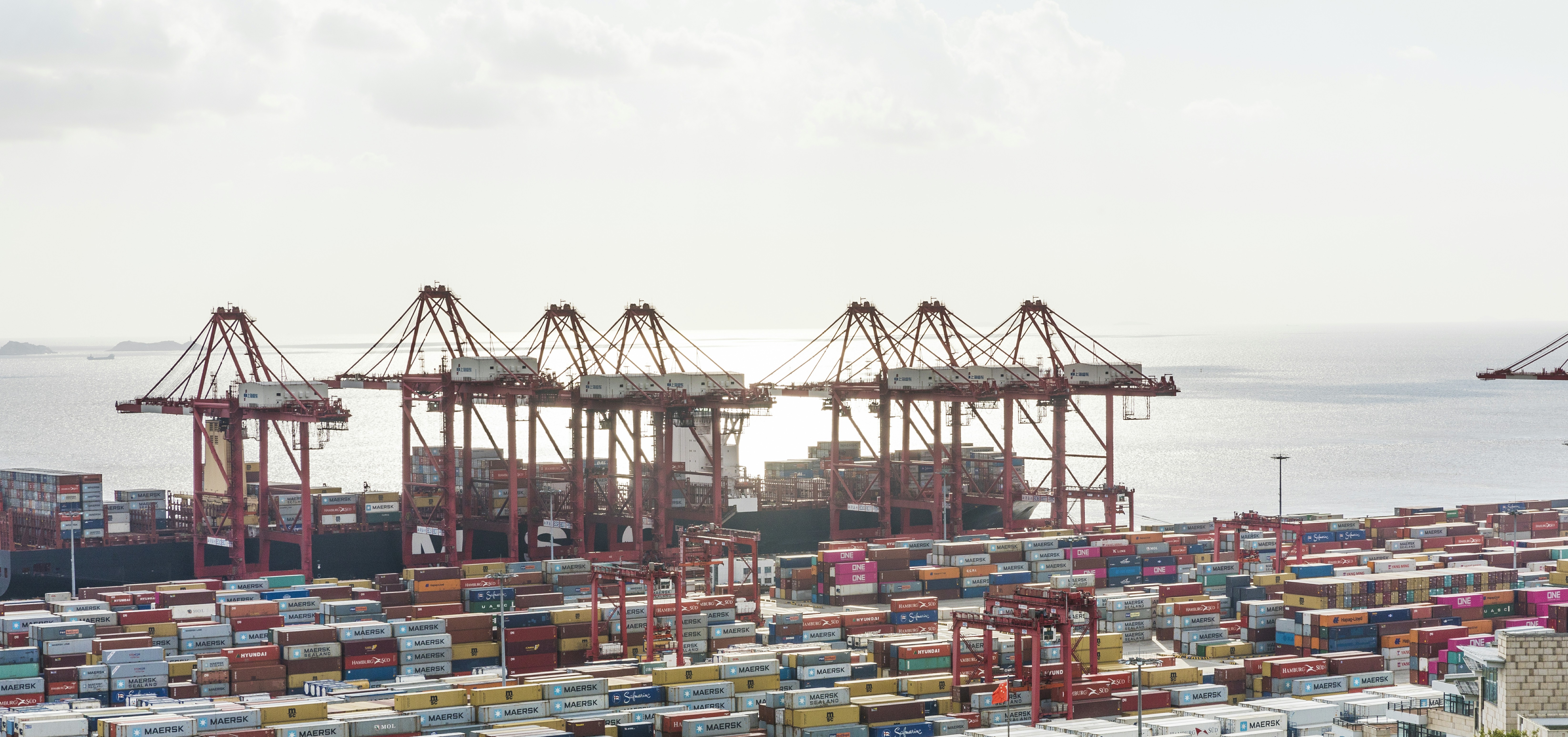 深圳至美國海派-慢線圖片/深圳至美國海派-慢線樣板圖 (2)