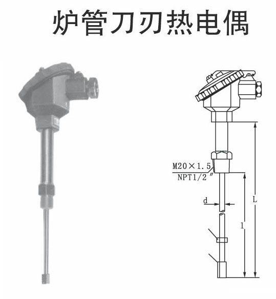 天康集团炉管刀刃热电偶厂家WRNK-231D图片