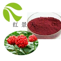 紅景天提取物 紅景天苷 紅景天粉