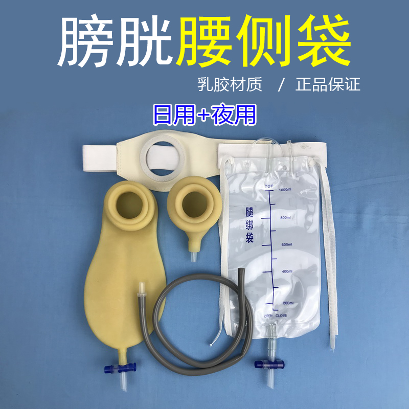 膀胱圖片/膀胱樣板圖 (1)