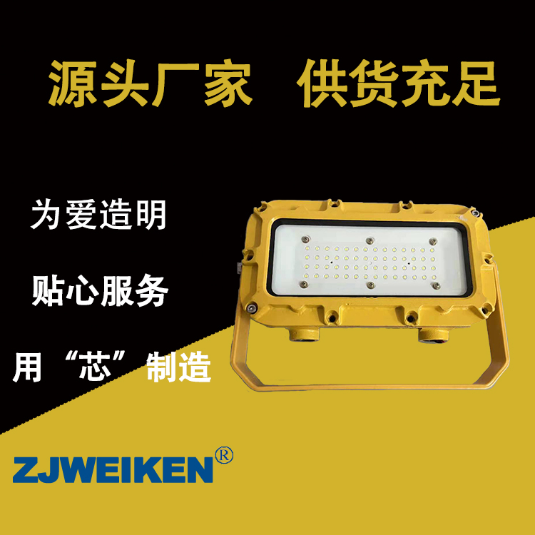 浙江威肯電氣DGC80W/127L 支架燈 隔爆型了ED支架燈 DGC80W/127L支架燈