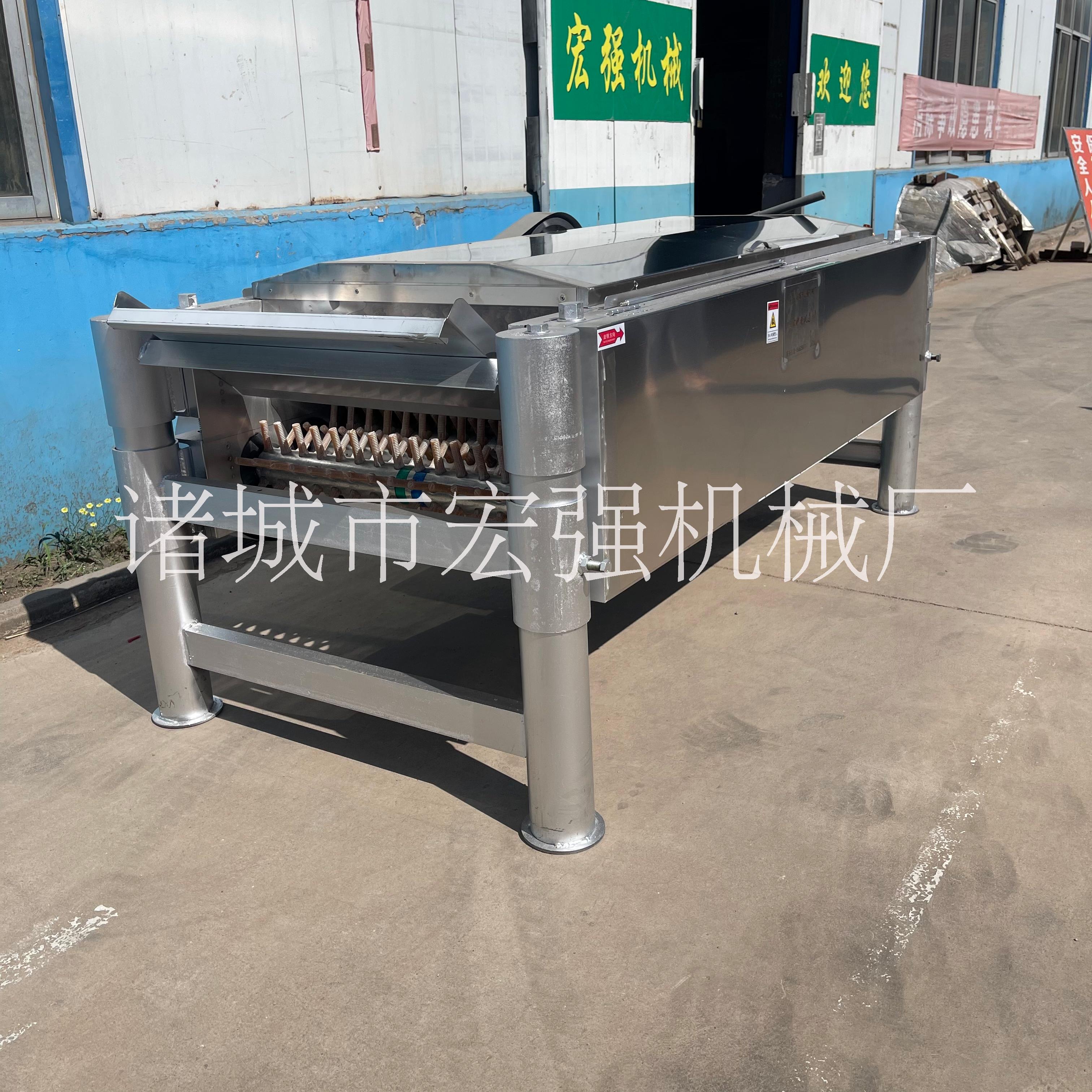 臥式中小型鴿子打毛機(jī)