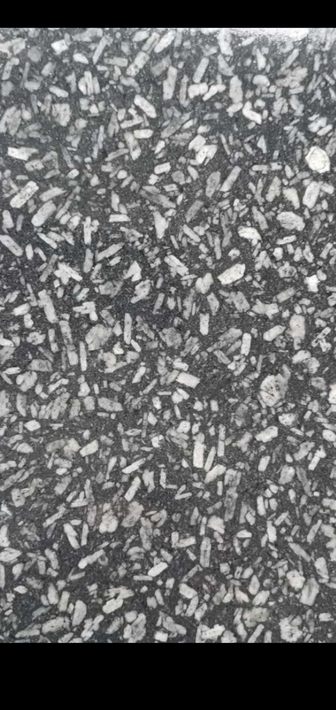 世紀(jì)銀圖片/世紀(jì)銀樣板圖 (2)