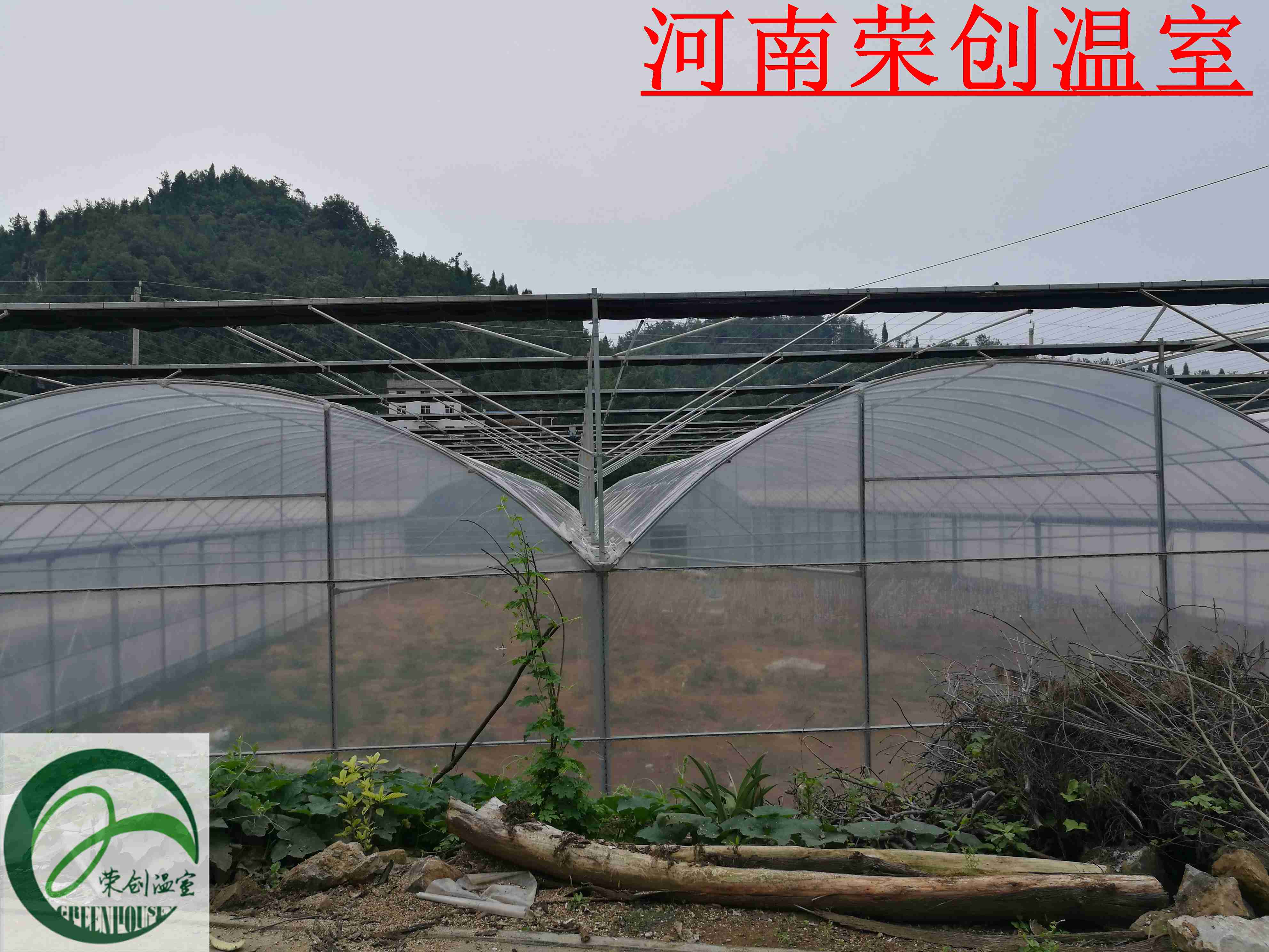 安徽宿州 關(guān)于薄膜連棟溫圖片