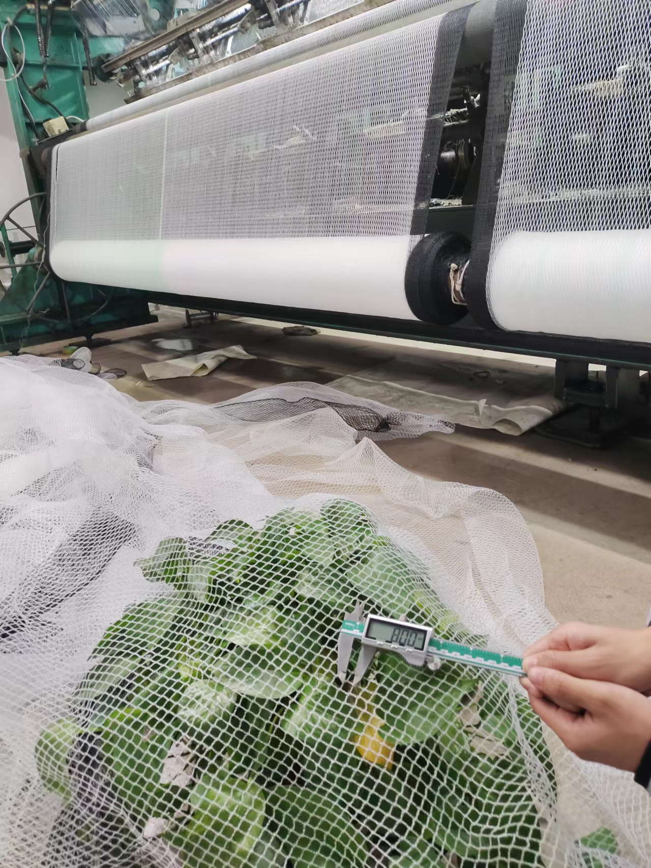 蘋果樹(shù)防雹網(wǎng) 白色果園冰雹防護(hù)網(wǎng) 業(yè)勤防雹網(wǎng)廠家 蘋果樹(shù)防冰雹網(wǎng) 防冰雹白網(wǎng) 全新料抗老化聚乙烯網(wǎng)