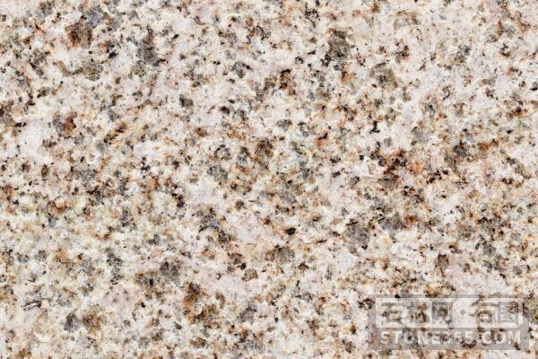 黃金麻石材圖片/黃金麻石材樣板圖 (4)