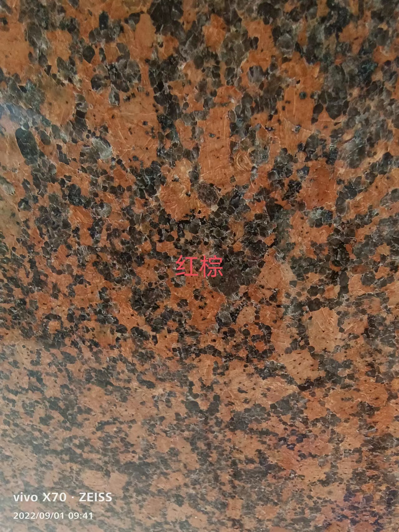 紅棕圖片/紅棕樣板圖 (3)