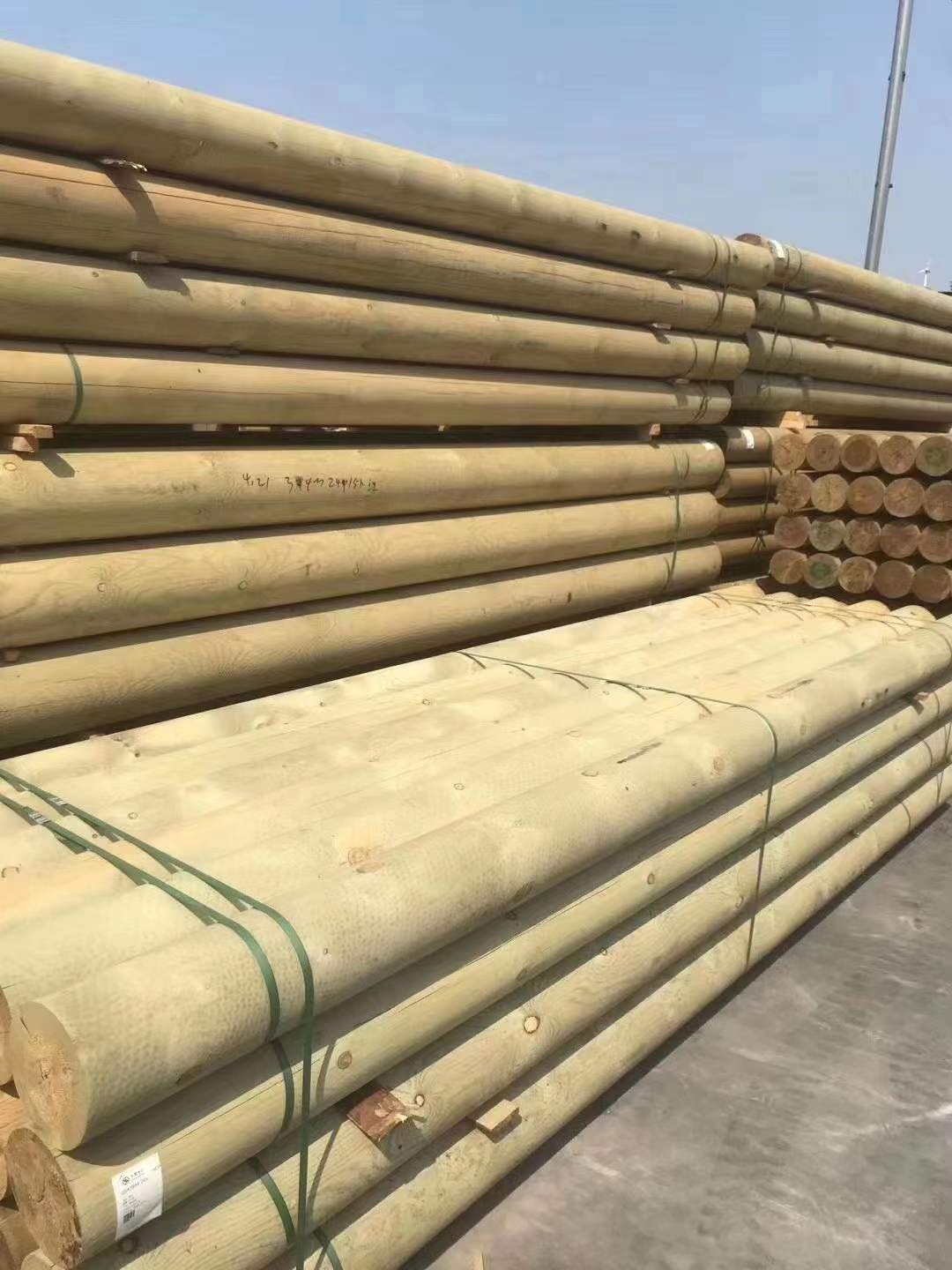 花旗松碳化木圖片/花旗松碳化木樣板圖 (1)