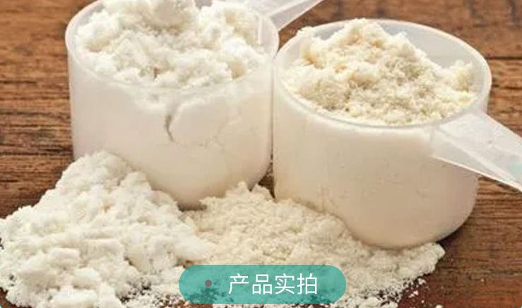 酪蛋白圖片/酪蛋白樣板圖 (2)